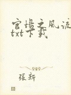 官场之风流人生txt下载