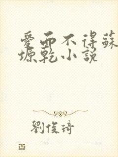 爱而不得苏路顾塬乾小说