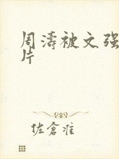 周涛被文强睡图片