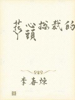 花心总裁的小小丫头