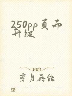 250pp页面升级