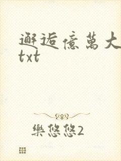 邂逅亿万大人物txt