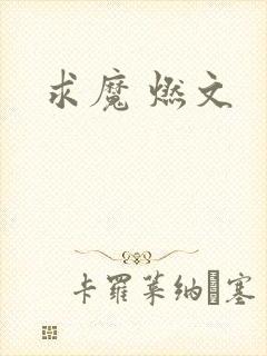 求魔 燃文