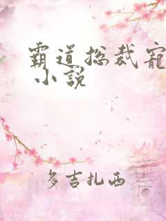 霸道总裁宠上天 小说