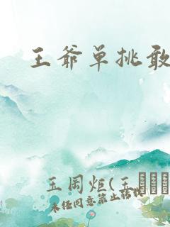 王爷单挑敢不敢