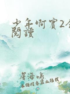 少年啊宾2全文阅读