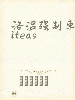 洛温强制车writeas