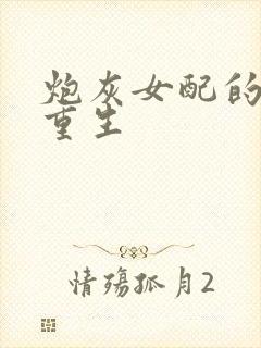 炮灰女配的极致重生