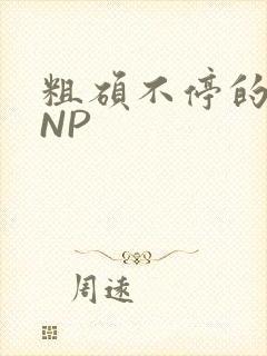 粗硕不停的进出NP