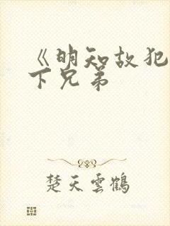 《明知故犯》年下兄弟