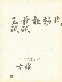 王爷敢动我妈咪试试
