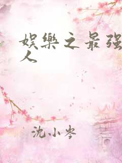 娱乐之最强经纪人