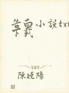 告白小说txt下载