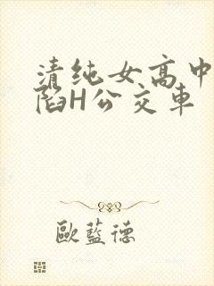 清纯女高中生沦陷H公交车