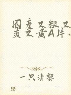 国产又粗又猛又爽又黄A片小说