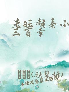 老旺超秦小雨第三百章