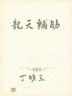 龙天辅助