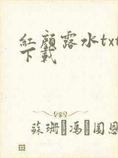 红颜露水txt下载