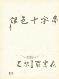 银色十字梦txt