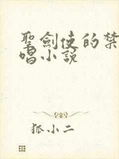 圣剑使的禁咒咏唱小说