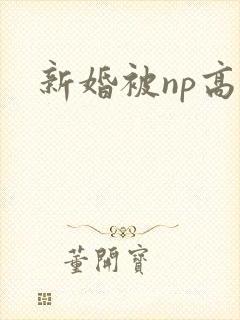 新婚被np高h