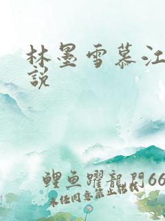 林墨雪慕江行小说