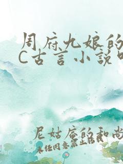 周府九娘的NPC古言小说叫什么