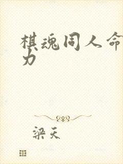 棋魂同人命运之力