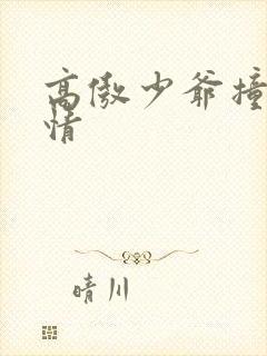 高傲少爷撞到爱情