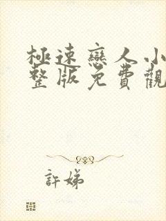 极速恋人小说完整版免费观看