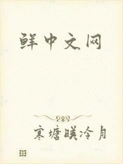 鲜中文网