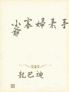 小寡妇素手擒四爷