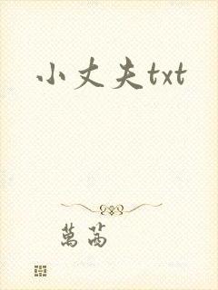 小丈夫txt