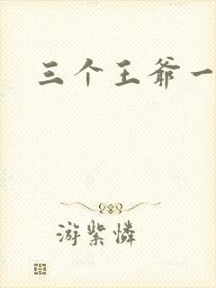三个王爷一个妃