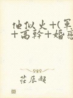 他似火+(军婚+高干+婚恋)