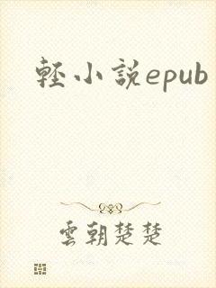 轻小说epub