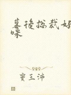 幕后总裁好孕妈咪