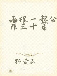 两根一起公憩止痒三十篇