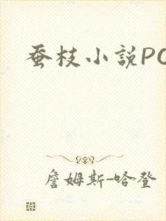 蚕枝小说PO