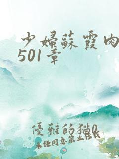 少妇苏霞肉欲第501章