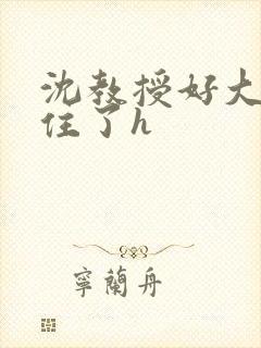 沈教授好大含不住了h