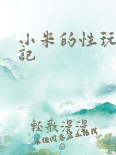 小米的性玩具日记