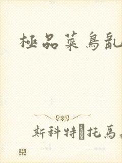 极品菜鸟乱江湖