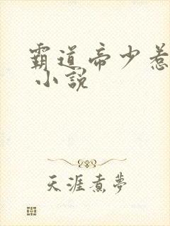 霸道帝少惹不得 小说