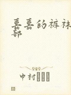 嘉嘉的裤袜第二部