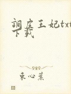 调皮王妃txt下载