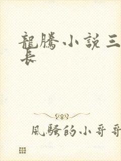 龙腾小说三宝局长