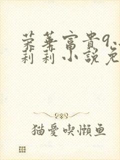 荣华富贵9小王莉莉小说免费阅读