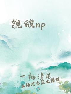 觊觎np