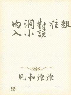 肉洞对准粗大坐入小说